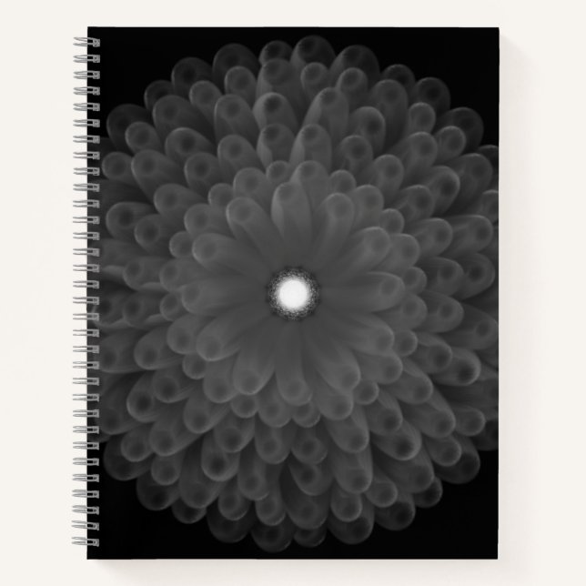 Spiral Notebook (Front)