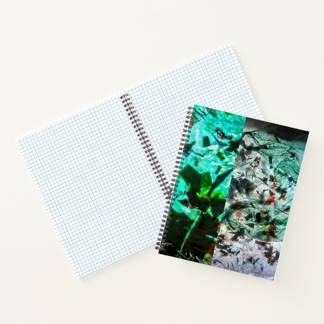 Spiral Notebook (Inside)