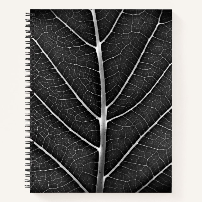 Spiral Notebook (Front)