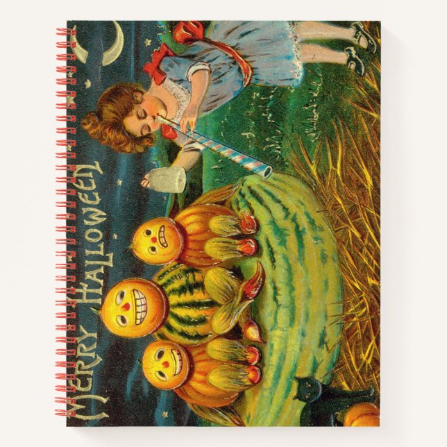 Spiral Notebook (Front)