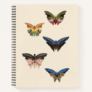 Spiral Notebook, Albert Bierstadt's Butterflies Notebook