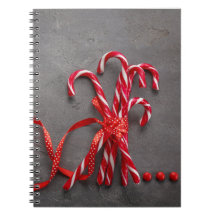 spiral notebook candy 80 lined pages