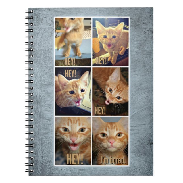 Spiral notebook for awesome things (Front)