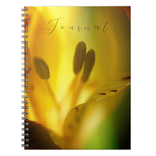 Spiral Notebook Journal