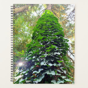 Spiral Notebook Planner
