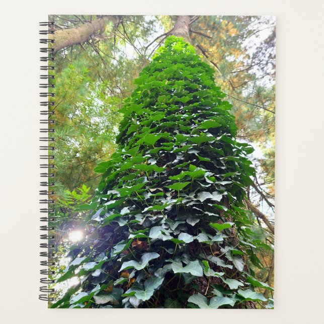 Spiral Notebook Planner (Front)