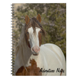 Spiral Notebook w/ Romeo