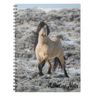 Spiral Notebook w/ Wicahpi Hinhpaya