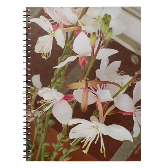 Spiral Photo Notebook (Front)