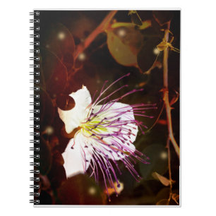 Spiral Photo Notebook