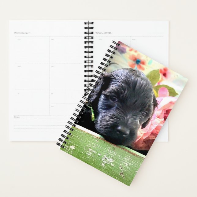 Spiral Planner Sweet Portuguese Water Dog (Display)