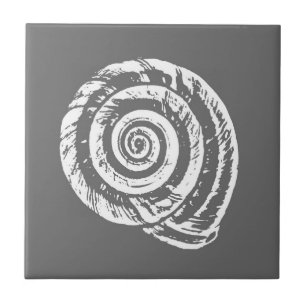 Spiral Seashell, Grey / Grey and White  Tile