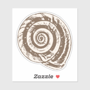 Spiral Seashell in Taupe Tan and Cream