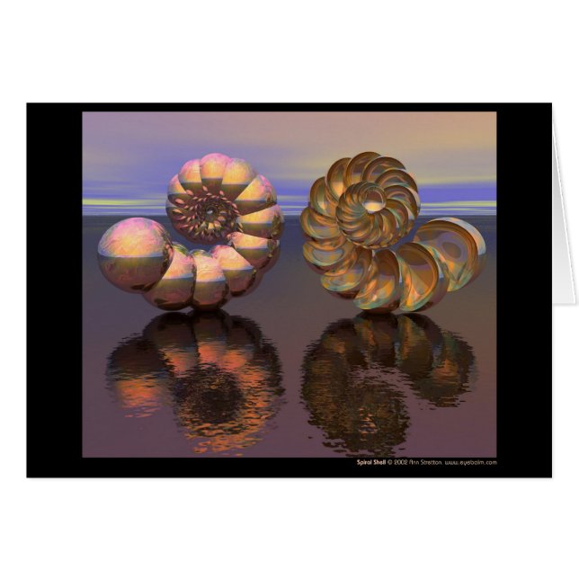 Spiral Shell (Front Horizontal)