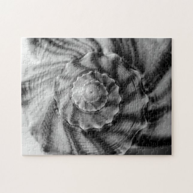 Spiral Shell, Black and White, Jigsaw Puzzle (Horizontal)