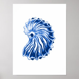 Spiral Shell, Indigo Blue and White Poster