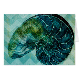 Spiral Turquoise Conch Shell