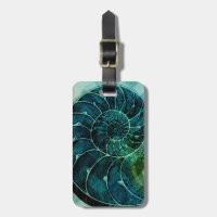 Spiral Turquoise Conch Shell