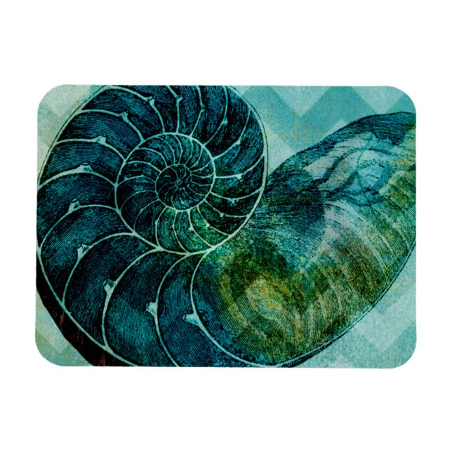 Spiral Turquoise Conch Shell Magnet (Horizontal)