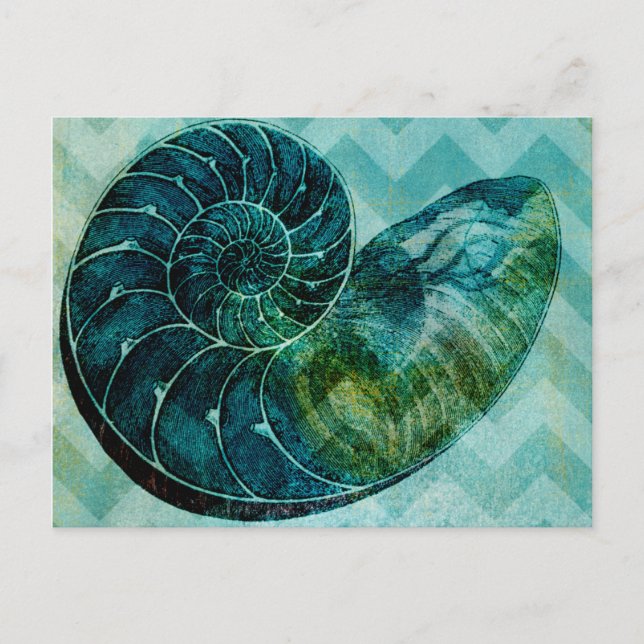 Spiral Turquoise Conch Shell Postcard (Front)