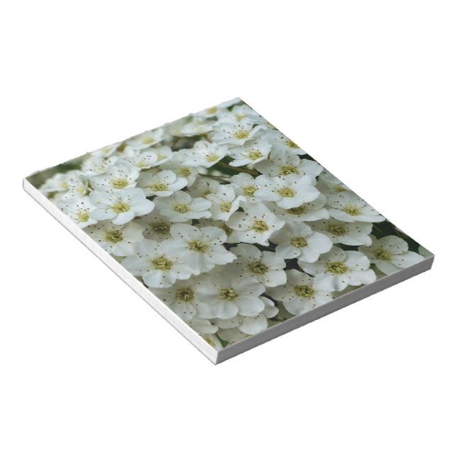 Spirea Arguta Notepad (Angled)