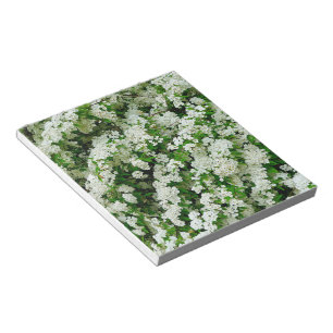 Spirea Arguta Notepad