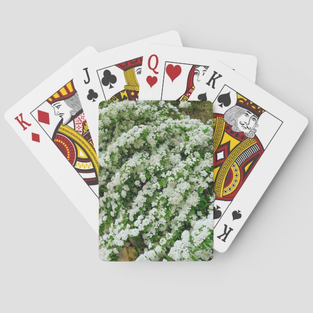 Spirea Arguta Playing Cards (Back)