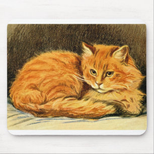 Spirit, a ginger beauty cat mouse mat