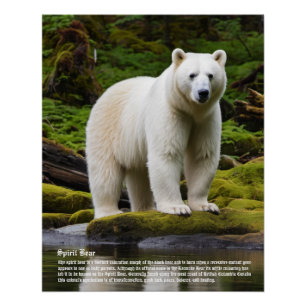 Spirit Bear Calendar Poster