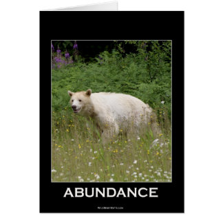 Spirit Bear Gifts