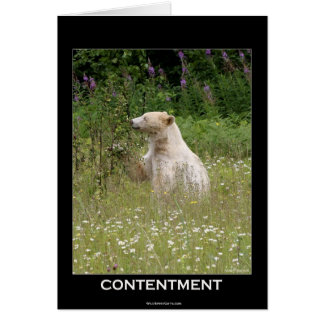 Spirit Bear Gifts