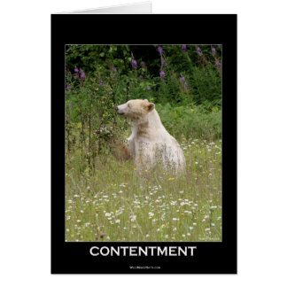Spirit Bear Gifts