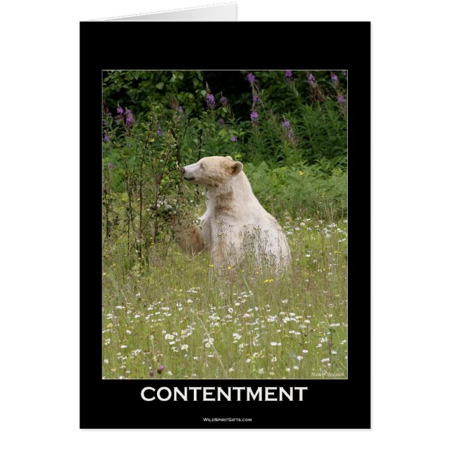 Spirit Bear Gifts (Front)