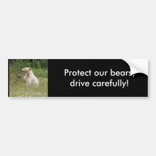 Spirit Bear Gifts Bumper Sticker