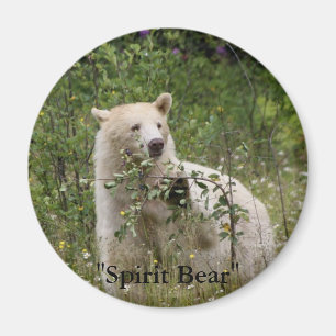 "Spirit Bear" gifts Magnet