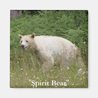 Spirit Bear Gifts Magnet