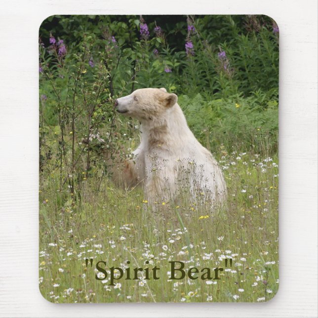 Spirit Bear Gifts Mouse Mat (Front)