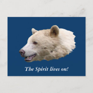 "Spirit Bear" Gifts Postcard
