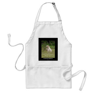 Spirit Bear Gifts Standard Apron