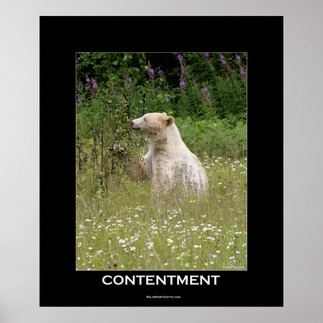 Spirit Bear Motivational Poster (Front)