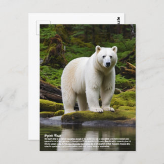 Spirit Bear Postcard