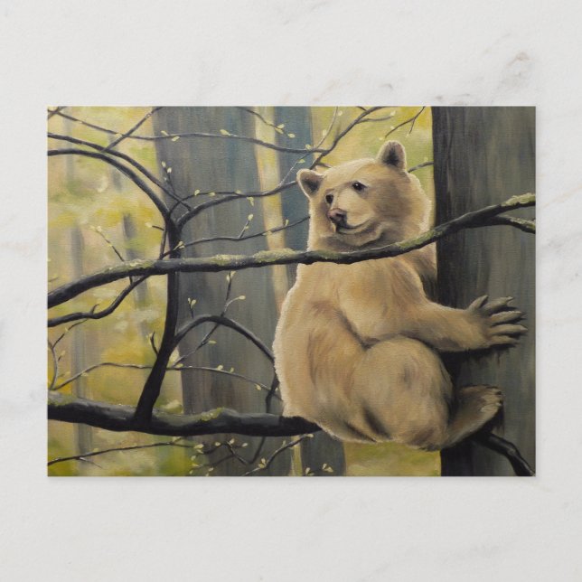 Spirit Bear Postcard Kermode Bear Art Postcards (Front)