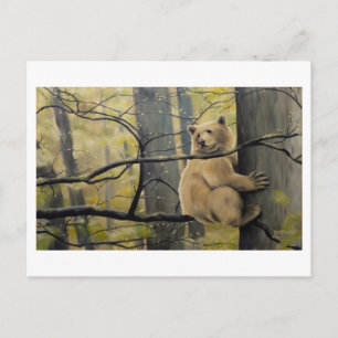 Spirit Bear Postcard Kermode Bear Art Postcards