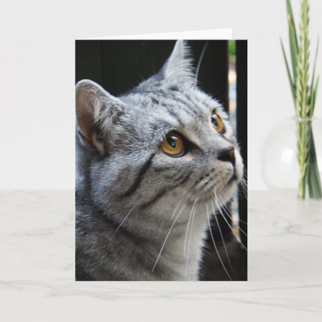 Spirit Cat Card (Front)