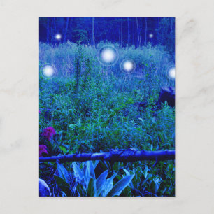 Spirit Lights Blue Night Marshy Meadow Orbs Postcard