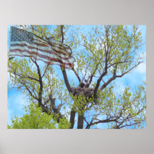 Spirit of Freedom - Poster