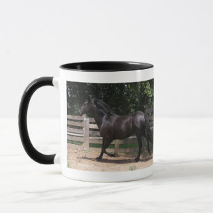 Spirit of Mintaka! Mug