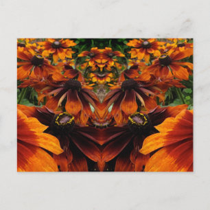 Spirit of Rudbeckia Postcard