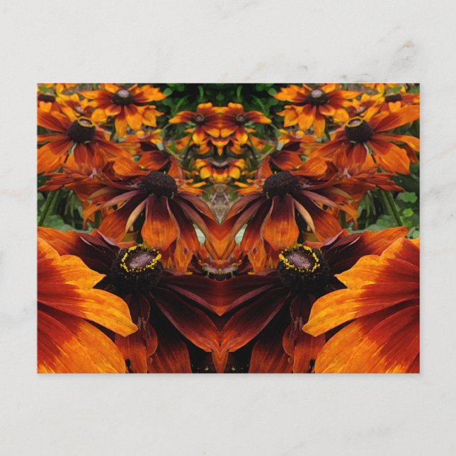 Spirit of Rudbeckia Postcard (Front)