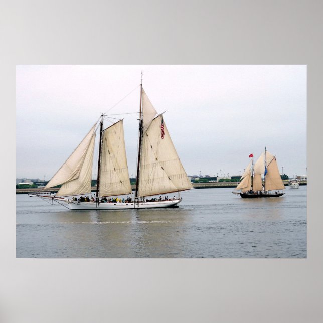 Spirit of South Carolina and Alert schooner Poster (Front)